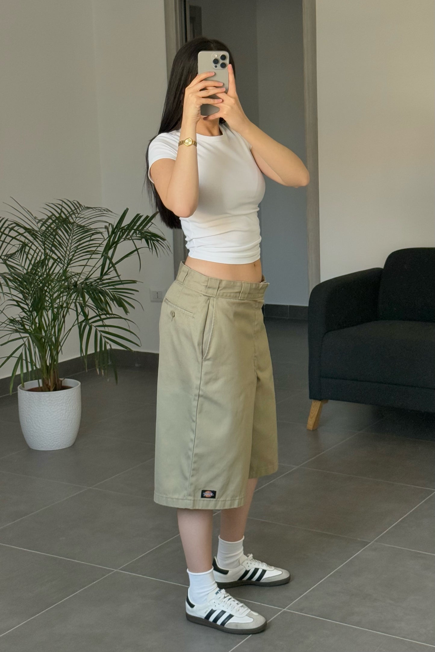 Shorts Dickies